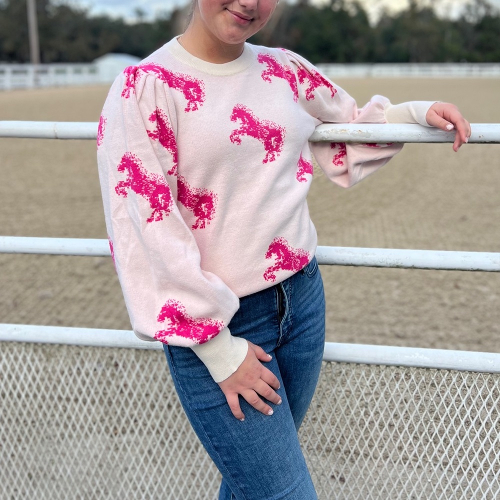 Pink Horse Sweater
